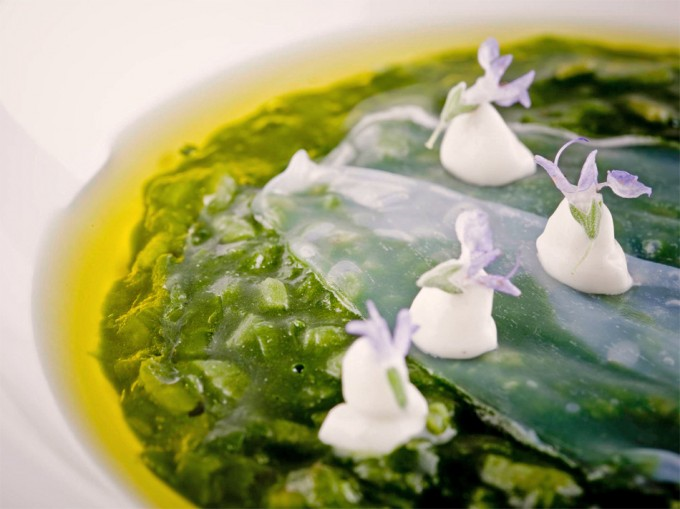 Riz crémeux au placton d'Aponiente